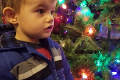 On one of our nightly tours of Christmas lights