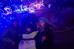 Zoo Lights!