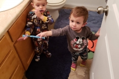 Buds that brush together, stick together.