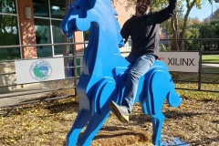 Ruckus Rodeo at the Longmont Museum