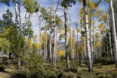 The aisle Dad and I walked down