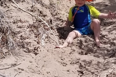 Resized_20190601_140430