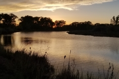 Resized_20190601_201237_879868944176294