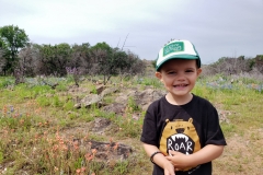 Wildflowers everywhere