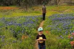 Colton hiked 2.5 miles and rode on Dad's shoulders for the other 2 miles.