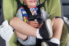 More car time!  Driving to Kerrville. The drive between Llano and Kerrville was a journey of an incredible show of roadside wildflowers.  Unlike I've ever seen.