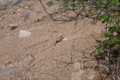 Devil's Waterhole at Inks Lake
