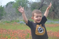 Wildflowers everywhere