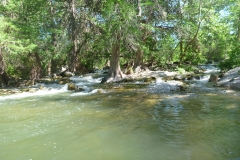 Cypress lined Guadalupe River