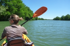 Kayaking in Kerrville-Schreiner Park